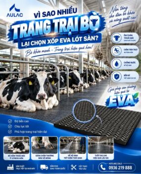 Xốp Eva Lót Trang Trại Bò