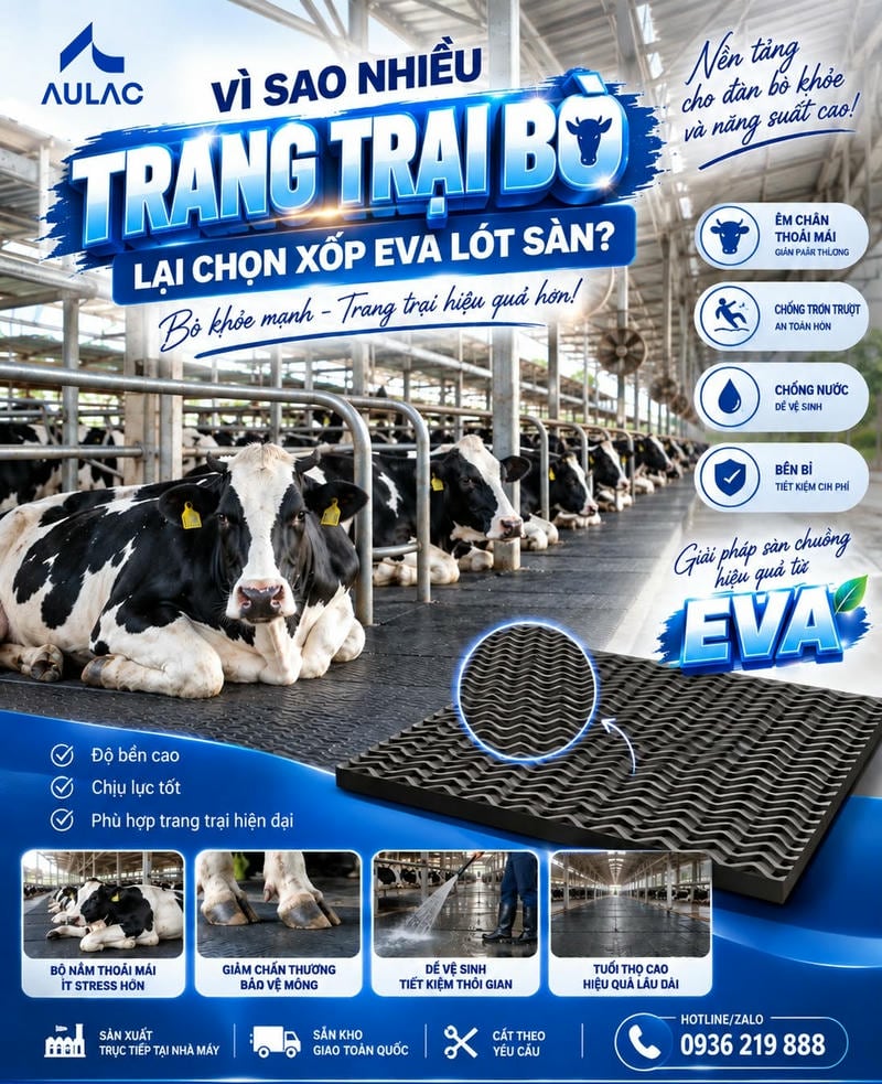 Xốp Eva Lót Trang Trại Bò